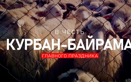 В Курбан-байрам в Махачкале пройдет празднество