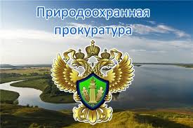 В Дагестане приняты меры к устранению нарушений при реализации проекта «Экология»