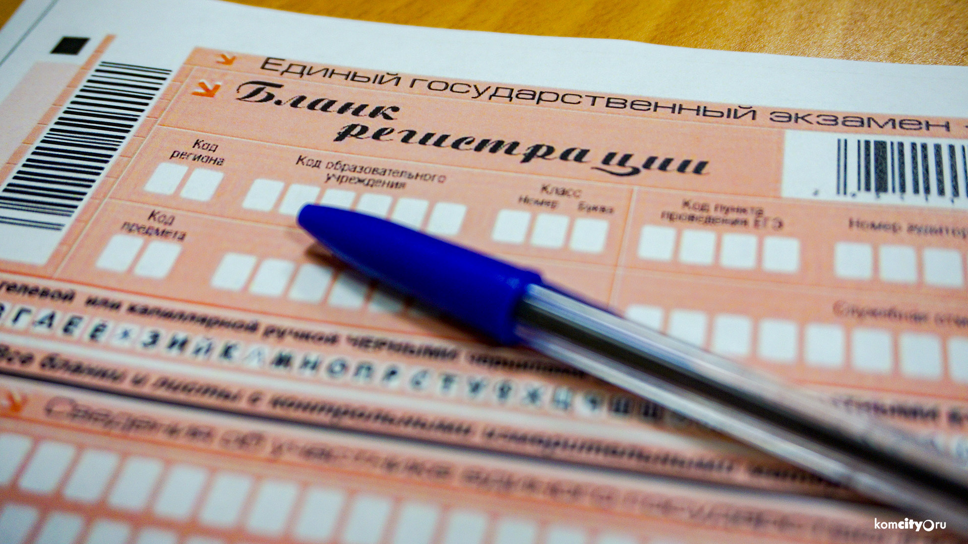 Более двенадцати тысяч дагестанских выпускников сдадут ЕГЭ в 2024 году