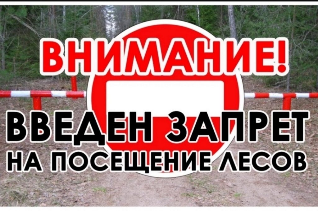В Дагестане в связи с пожарной опасностью ввели запрет на посещение лесов
