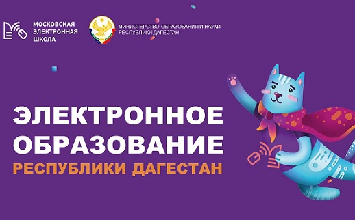  Система «Электронное образование Дагестана» внедряется с 1 сентября во все школы республики