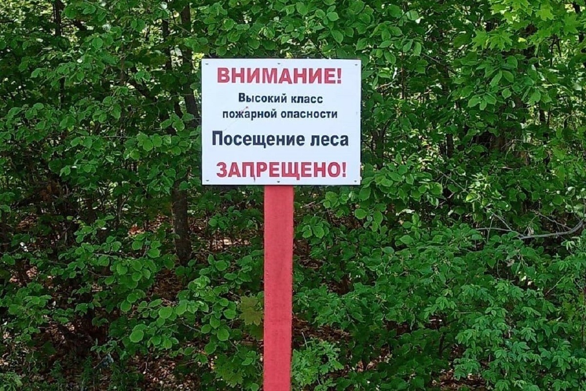 В Дагестане ввели ограничения на посещение лесов