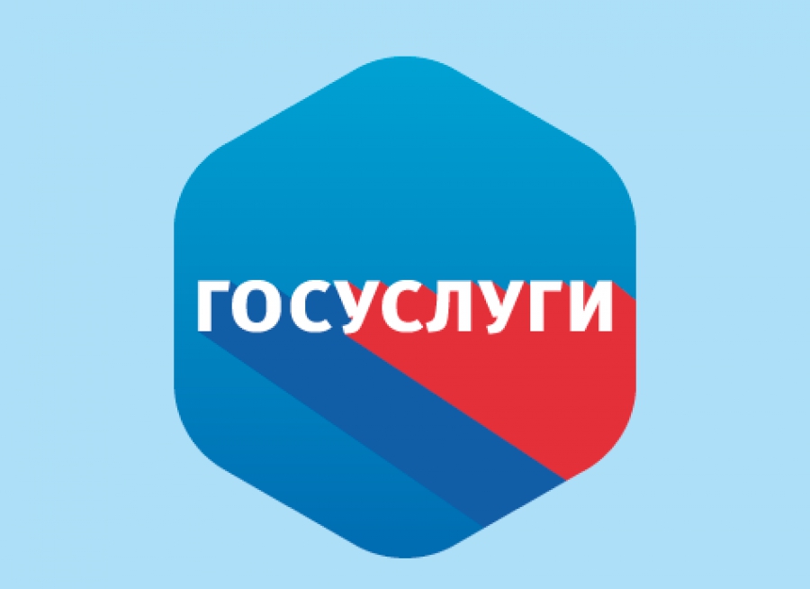 В Дагестане выросло количество мошенников «от Госуслуг»