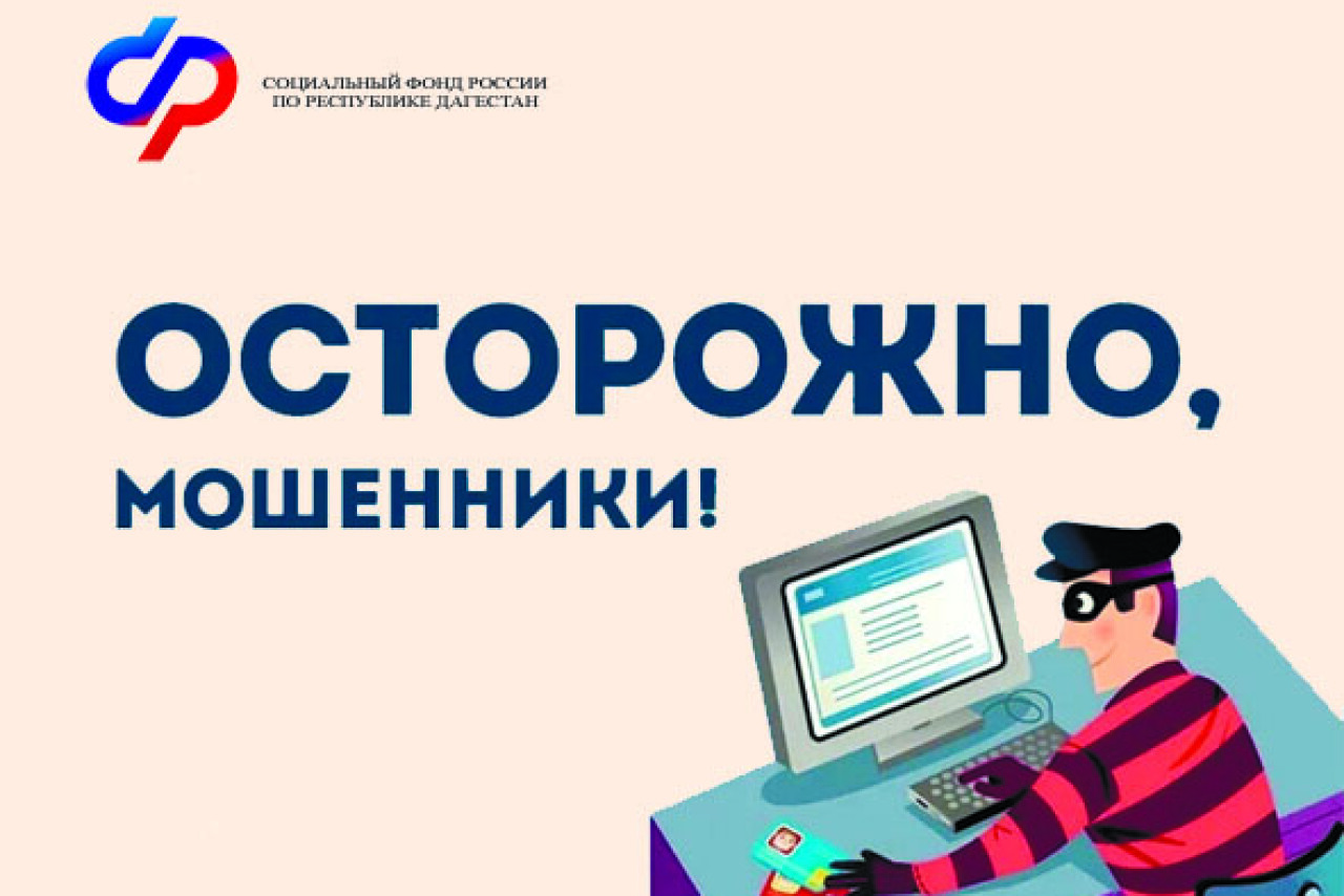 СФР Дагестана предупреждает о новой схеме мошенников