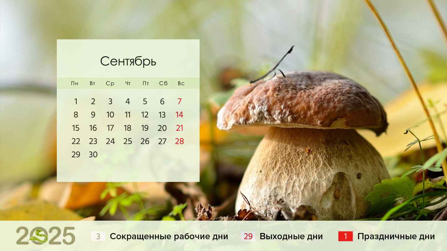 Что изменится в России с 1 сентября
