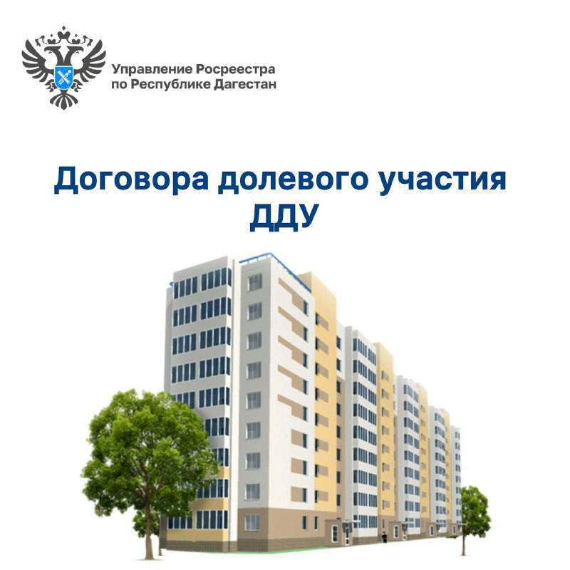 В Дагестане выросло число зарегистрированных договоров долевого участия в строительстве