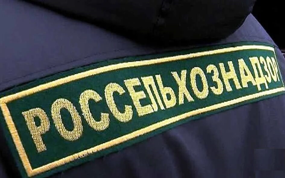 Россельхознадзор провел с помощью МП «Инспектор» 252 профилактических мероприятия с дагестанскими аграриями и фермерами