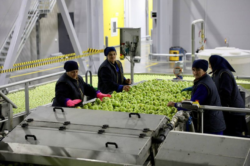 Мощности хранения сельхозпродукции в Дагестане к 2026 году увеличат до 60 тыс. тонн