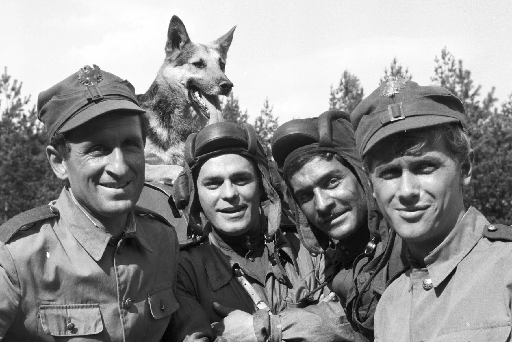 «Рыжий» снова выходит на дорогу: «Четыре танкиста и собака» — смотрим фильм, читаем книгу