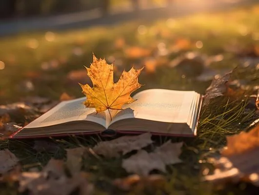 Осенние книги для тёплых вечеров