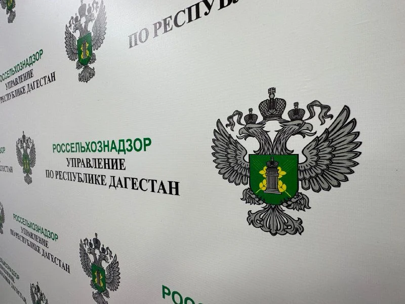 Россельхознадзор разъяснил правила борьбы с коричневым мраморным клопом
